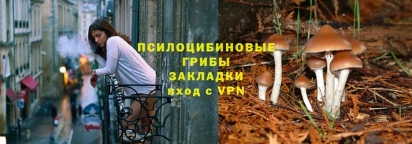 дмт Армянск
