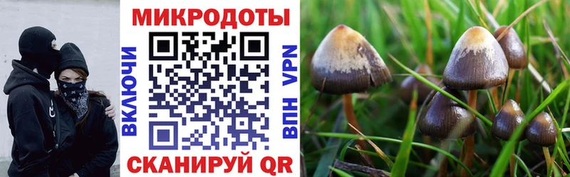 Галлюциногенные грибы мицелий  Купить  Кимры 